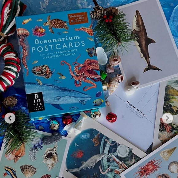 NEW Oceanarium Postcards by Teagan White and Loveday Trinick - Multicolor RARE - Picture 3 of 9
